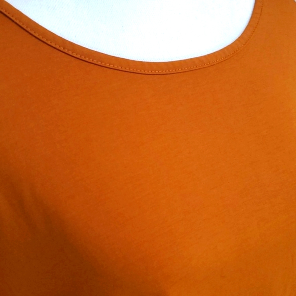 Size 2X Rust Top - Picture 5 of 7